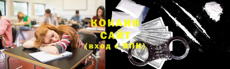 Cocaine Fish Scale  блэк спрут tor  Заозёрный 